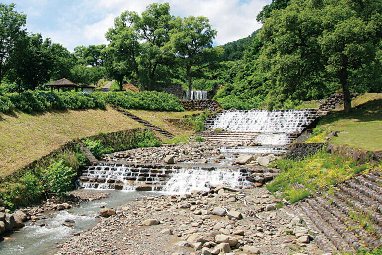 �Ăɂ������߁I�V���E�����������X�|�b�g18�I ����������̉摜31