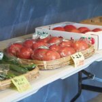 ��₵����V�F�C�N���I���Ă����X�C�[�c���y���߂�u�_���J�t�F ����1/2�v�O���s�ɃI�[�v���̉摜5