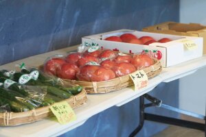 ��₵����V�F�C�N���I���Ă����X�C�[�c���y���߂�u�_���J�t�F ����1/2�v�O���s�ɃI�[�v���̉摜5