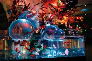 ���T���̐V���C�x���g���b8/2(�y)�E3(��)�J�Ẩ摜2