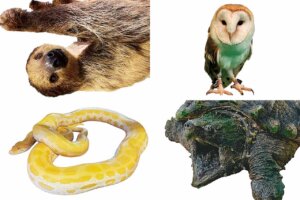 ���T���̐V���C�x���g���b7/26(�y)�E27(��)�J�Ẩ摜5