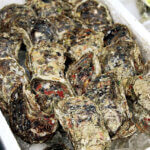 �����{�I����Y�V�R��K�L���H�ׂ��鑺��s�̂��X5�I�̉摜3