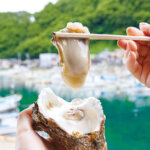 �����{�I����Y�V�R��K�L���H�ׂ��鑺��s�̂��X5�I�̉摜7