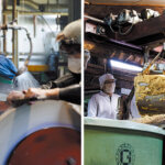 ��l�����y�����I�V���̖��͂�m��H�ꌩ�w�K�C�h�u���������v&�u��H�[�^�_�t�T�v�̃��C���摜