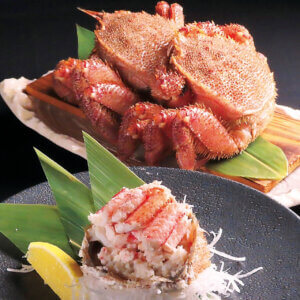 ���ڂ���i�ɊC�N�p�t�Fetc. ���̕�ɥ�V���̊C�N�O����6�I�̉摜15