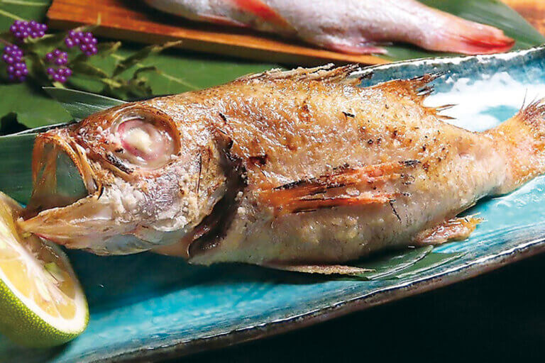 ���ڂ���i�ɊC�N�p�t�Fetc. ���̕�ɥ�V���̊C�N�O����6�I�̉摜16