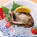 ���ڂ���i�ɊC�N�p�t�Fetc. ���̕�ɥ�V���̊C�N�O����6�I�̉摜14