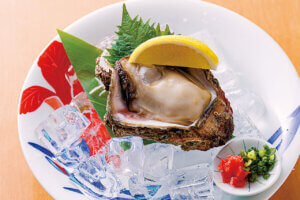 ���ڂ���i�ɊC�N�p�t�Fetc. ���̕�ɥ�V���̊C�N�O����6�I�̉摜14