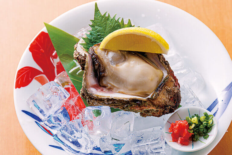 ���ڂ���i�ɊC�N�p�t�Fetc. ���̕�ɥ�V���̊C�N�O����6�I�̉摜14