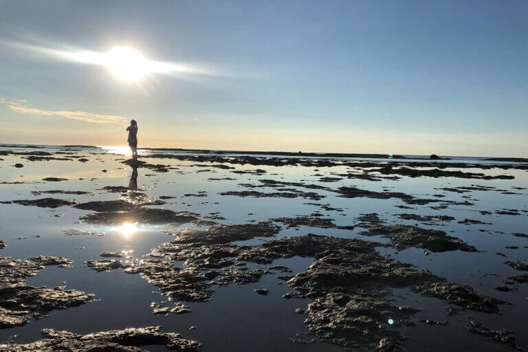 x͖KꂽIVEĂ̐ioX|bg15Ỉ摜3