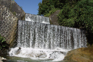 �Ăɂ������߁I�V���E�����������X�|�b�g18�I ����������̉摜30