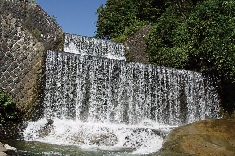 �Ăɂ������߁I�V���E�����������X�|�b�g18�I ����������̉摜30