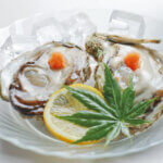 �����{�I����Y�V�R��K�L���H�ׂ��鑺��s�̂��X5�I�̉摜11