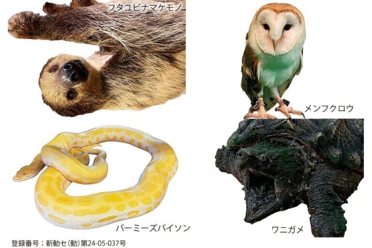 ���T���̐V���C�x���g���b7/19(�y)�`21(����j)�J�Ẩ摜7