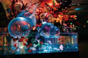 ~Ԃ̐VCxgb8/9(y)`17()JẨ摜5