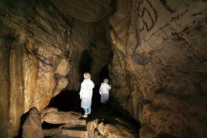 �Ăɂ������߁I�V���E�����������X�|�b�g18�I ����������̉摜10