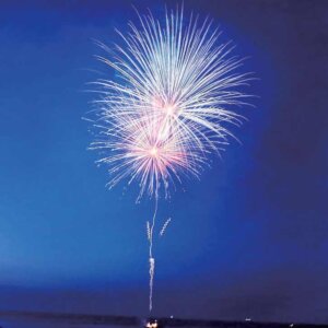 2025�b�V���̉ԉΑ��50�I�@�J�Ó��������ǂ�����̉摜7