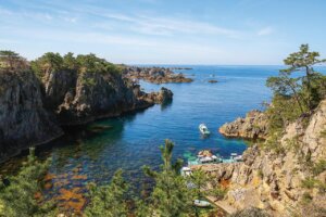 x͖KꂽIVEĂ̐ioX|bg15Ỉ摜5