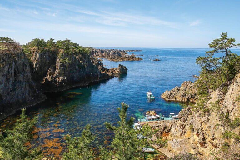 x͖KꂽIVEĂ̐ioX|bg15Ỉ摜5