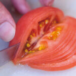 �Ă̒�ԁI�V���́u��₵���؁v9�I�̉摜3