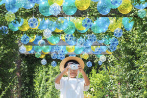 ~Ԃ̐VCxgb8/9(y)`17()JẨ摜29