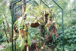 ���T���̐V���C�x���g���b7/26(�y)�E27(��)�J�Ẩ摜9