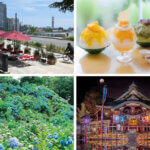 �����ɍs����V���C�x���g���b7/7(��)�`11(��)�̃��C���摜