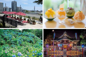 �����ɍs����V���C�x���g���b7/7(��)�`11(��)�̃��C���摜