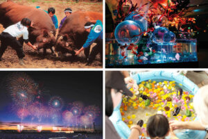 ���T���̐V���C�x���g���b8/2(�y)�E3(��)�J�Ẫ��C���摜