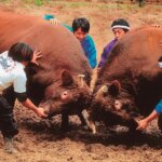 ���T���̐V���C�x���g���b8/2(�y)�E3(��)�J�Ẩ摜8