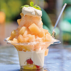 2025�b���̉ĐH�ׂ����I�V���́u�����X�v10�I�̉摜15