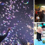 ���T���̐V���C�x���g���b8/23(�y)�E24(��)�J�Ẩ摜8