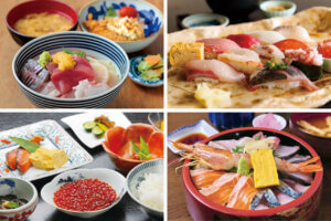 �ґ�ȊC�̍K���R�X�p���Q�Ɋy���߂�I�V���̊C�N�����`15�I�̃��C���摜