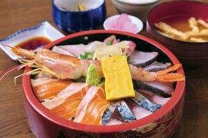 �ґ�ȊC�̍K���R�X�p���Q�Ɋy���߂�I�V���̊C�N�����`15�I�̉摜29