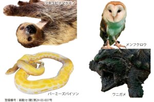 ���T���̐V���C�x���g���b8/23(�y)�E24(��)�J�Ẩ摜4