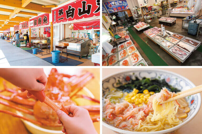 OނŖ͂[@IV\鋛s `̉w }h[\ҁ`