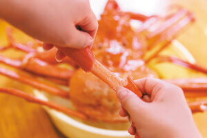 OނŖ͂[@IV\鋛s `̉w }h[\ҁ`̉摜3