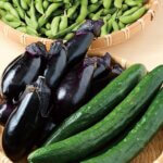 �n���H�ނ̑y�؂������u�܂��̂��y�؉����� mokmog�v�k�ܐ�w�O�ɃI�[�v���I�̉摜5