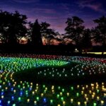 ���T���̐V���C�x���g���b8/23(�y)�E24(��)�J�Ẩ摜11