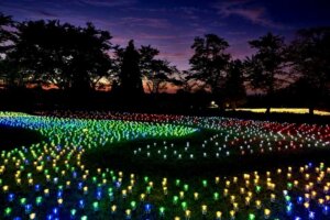 ���T���̐V���C�x���g���b8/23(�y)�E24(��)�J�Ẩ摜11