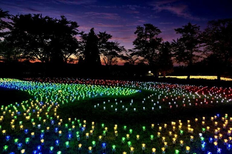 ���T���̐V���C�x���g���b8/23(�y)�E24(��)�J�Ẩ摜11