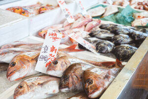 OނŖ͂[@IV\鋛s `sABandaiҁ`̉摜10