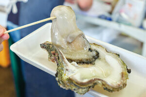 OނŖ͂[@IV\鋛s `sABandaiҁ`̉摜7