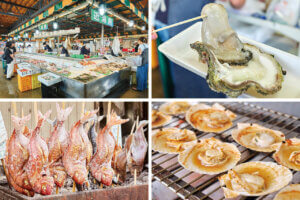 OނŖ͂[@IV\鋛s `sABandaiҁ`̃C摜