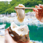 �C�̌b�݂��M���b�ƋÏk�I�J�L�ƃJ�j���y���߂�V���̂��X6�I�̉摜2