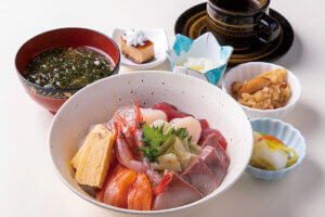 �ґ�ȊC�̍K���R�X�p���Q�Ɋy���߂�I�V���̊C�N�����`15�I�̉摜50