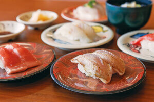 �ґ�ȊC�̍K���R�X�p���Q�Ɋy���߂�I�V���̊C�N�����`15�I�̉摜7