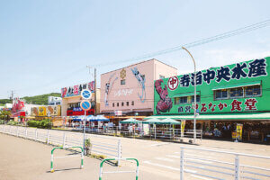 OނŖ͂[@IV\鋛s `̎sʂҁ`̉摜2