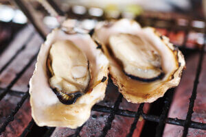 OނŖ͂[@IV\鋛s `̎sʂҁ`̉摜12