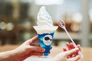 OނŖ͂[@IV\鋛s `̎sʂҁ`̉摜15